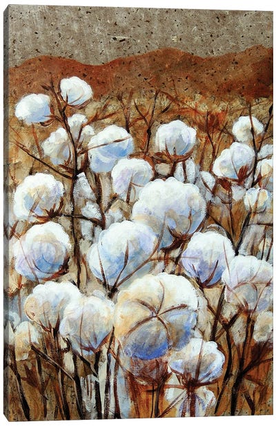 Cotton Fields Canvas Art Print - Cotton Art