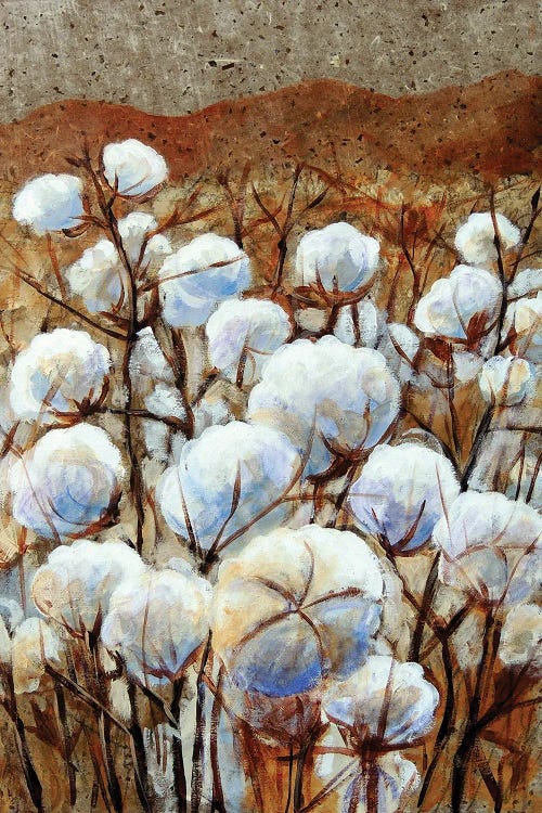 Cotton Fields