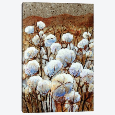 Cotton Fields Canvas Print #CMY11} by Candy Mayer Canvas Art