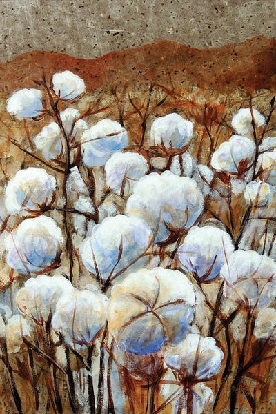Cotton: Cotton Fields by Candy Mayer