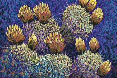 Canyon Cactus by Candy Mayer canvas print