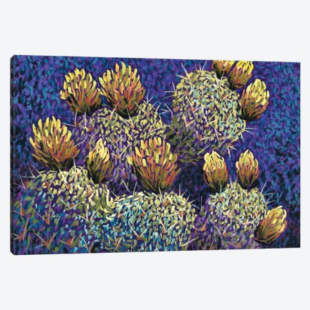 Canyon Cactus Canvas Print #CMY123} by Candy Mayer Canvas Artwork