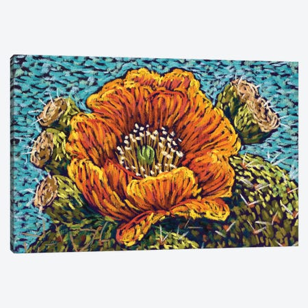 Orange Cactus Flower Canvas Print #CMY124} by Candy Mayer Canvas Print
