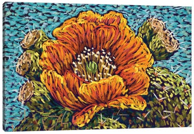 Orange Cactus Flower Canvas Art Print - Candy Mayer