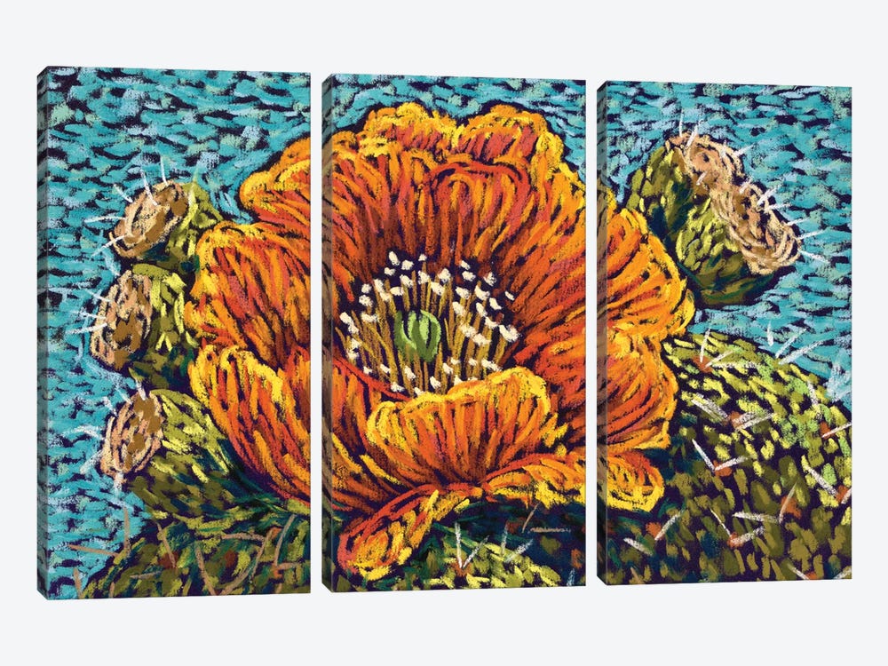 Orange Cactus Flower by Candy Mayer 3-piece Canvas Artwork
