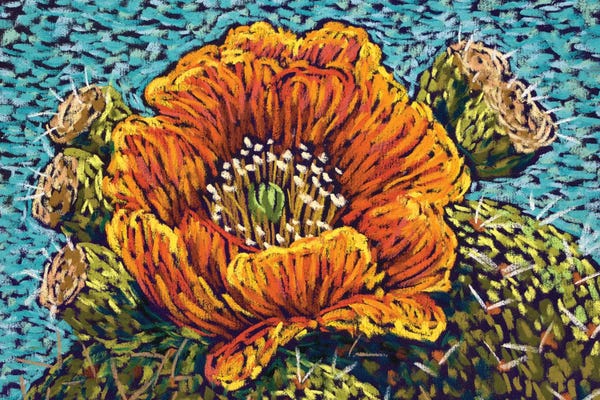 Latin Décor: Orange Cactus Flower by Candy Mayer