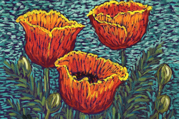 Red Orange Poppies