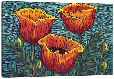 Red Orange Poppies Canvas Art Print - Candy Mayer