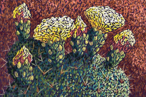 Prickly Pear Flowers And Buds