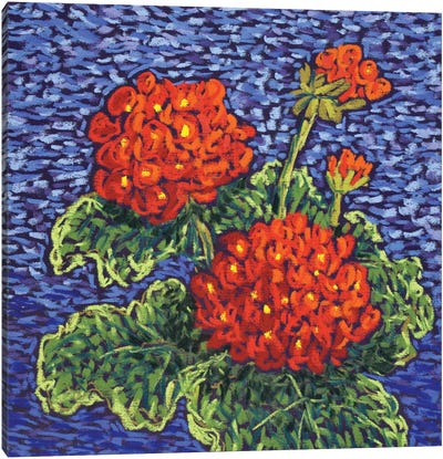 Red Geraniums Canvas Art Print - Geranium Art