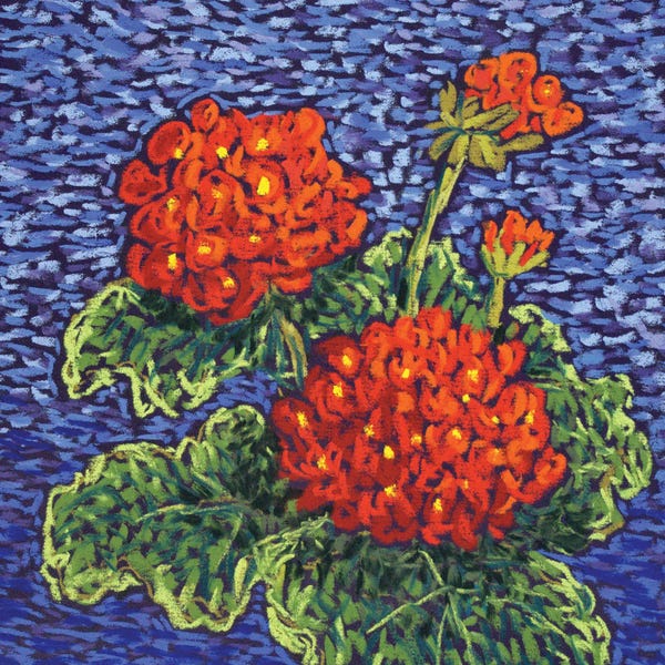Geraniums: Red Geraniums by Candy Mayer