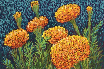 Marigolds