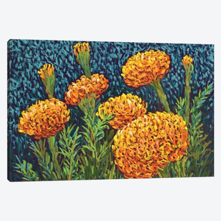 Marigolds Canvas Print #CMY129} by Candy Mayer Canvas Artwork