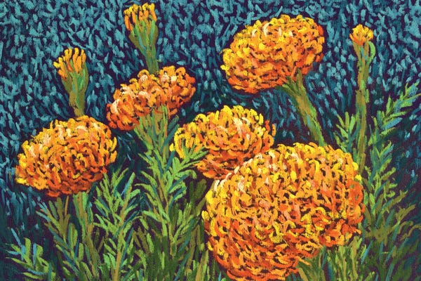 Latin Décor: Marigolds by Candy Mayer