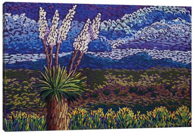 Desert Yuccas Canvas Art Print