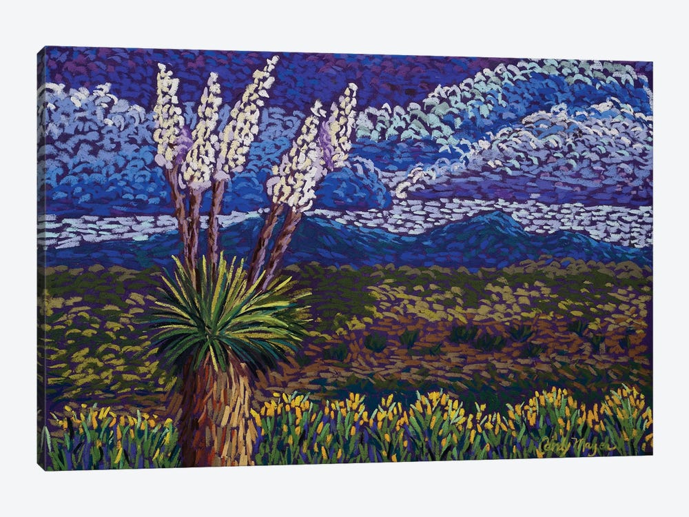 Desert Yuccas by Candy Mayer 1-piece Art Print
