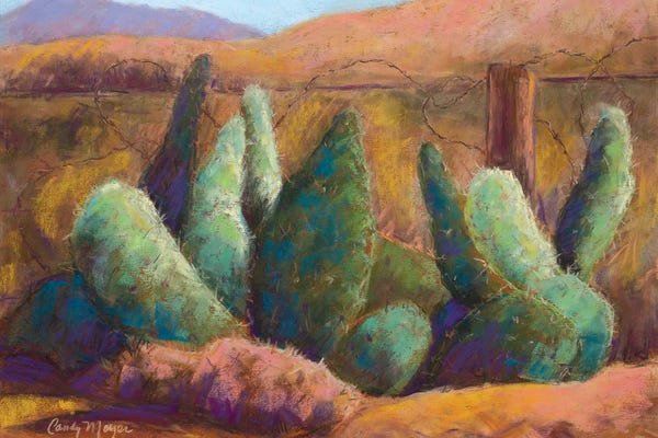 Desert: Border Cactus by Candy Mayer