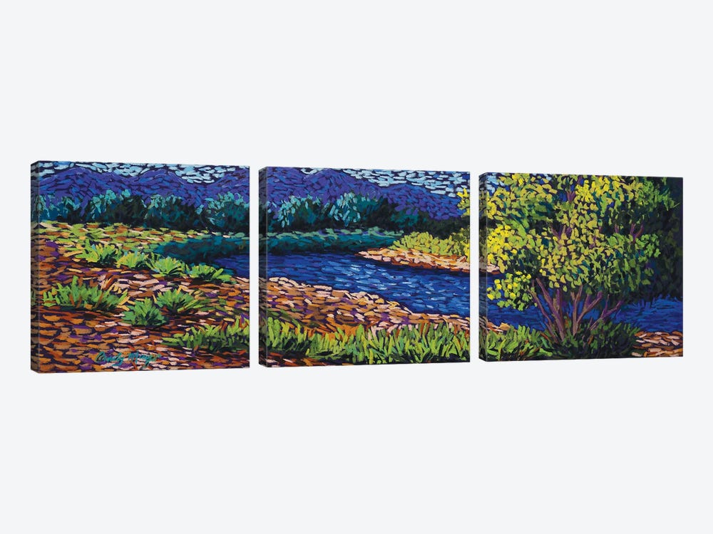 On The River by Candy Mayer 3-piece Canvas Print