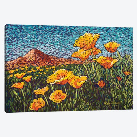 Poppies Canvas Print #CMY46} by Candy Mayer Canvas Art