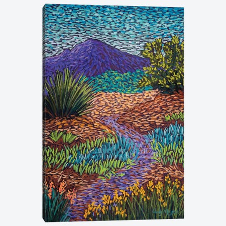 Purple Mountain Path Canvas Print #CMY47} by Candy Mayer Canvas Art
