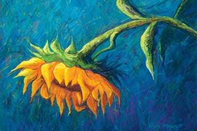 Sunflower by Candy Mayer framed wall art