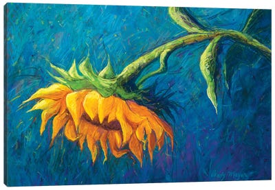 Sunflower Canvas Art Print - Candy Mayer