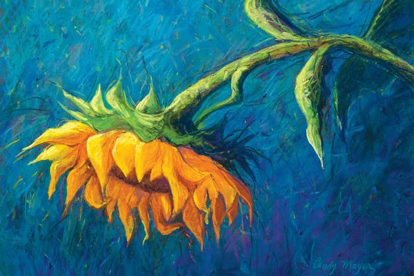 Candy Mayer: Sunflower by Candy Mayer