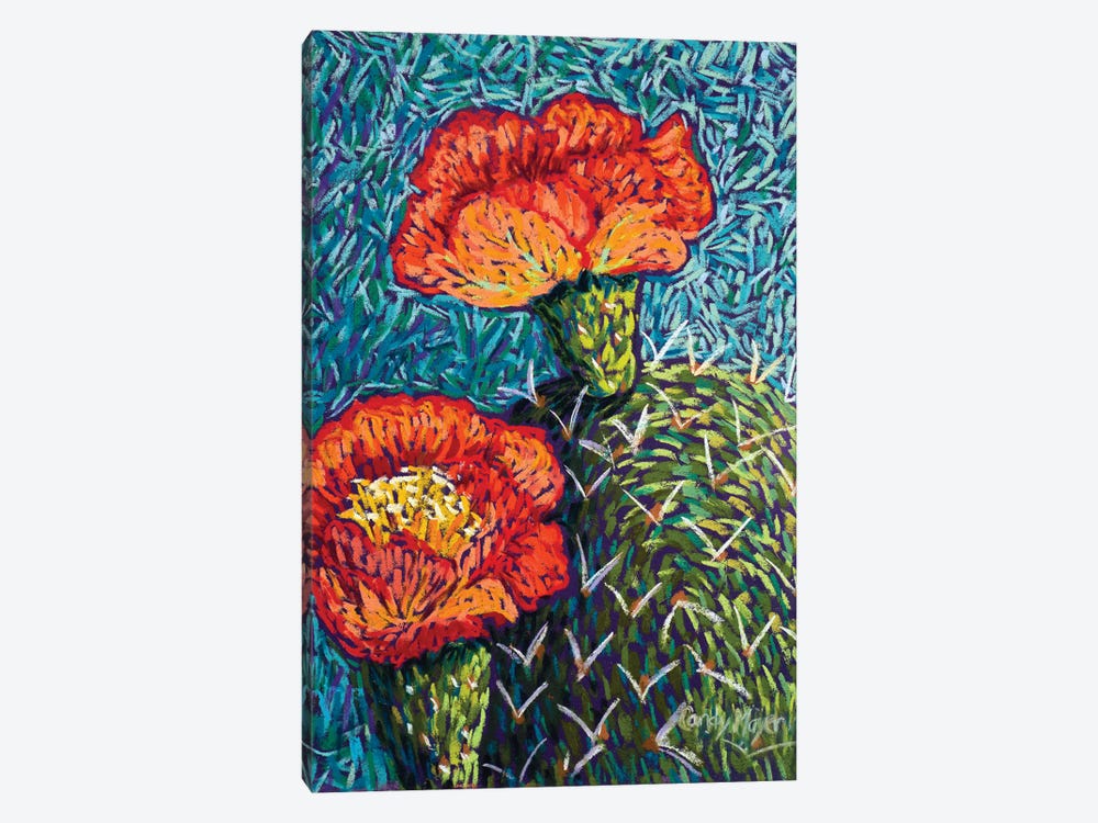 Prickly Pear In Orange by Candy Mayer 1-piece Canvas Print