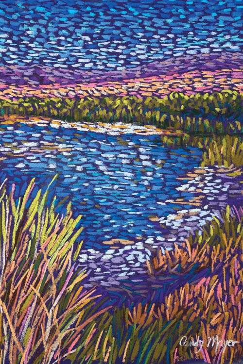 Southwest Wetlands by Candy Mayer wall art