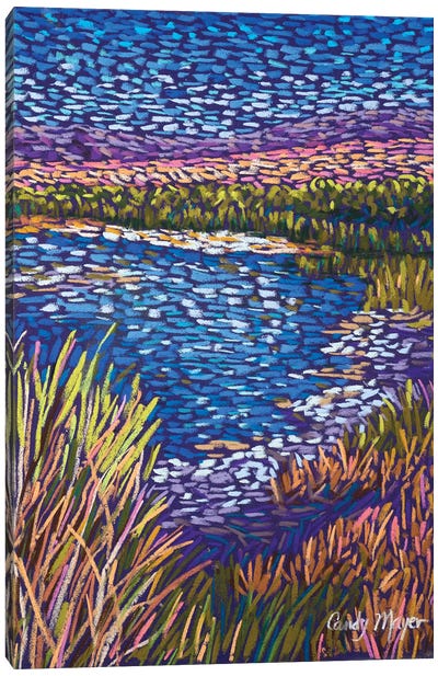 Southwest Wetlands Canvas Art Print - Marsh & Swamp Art