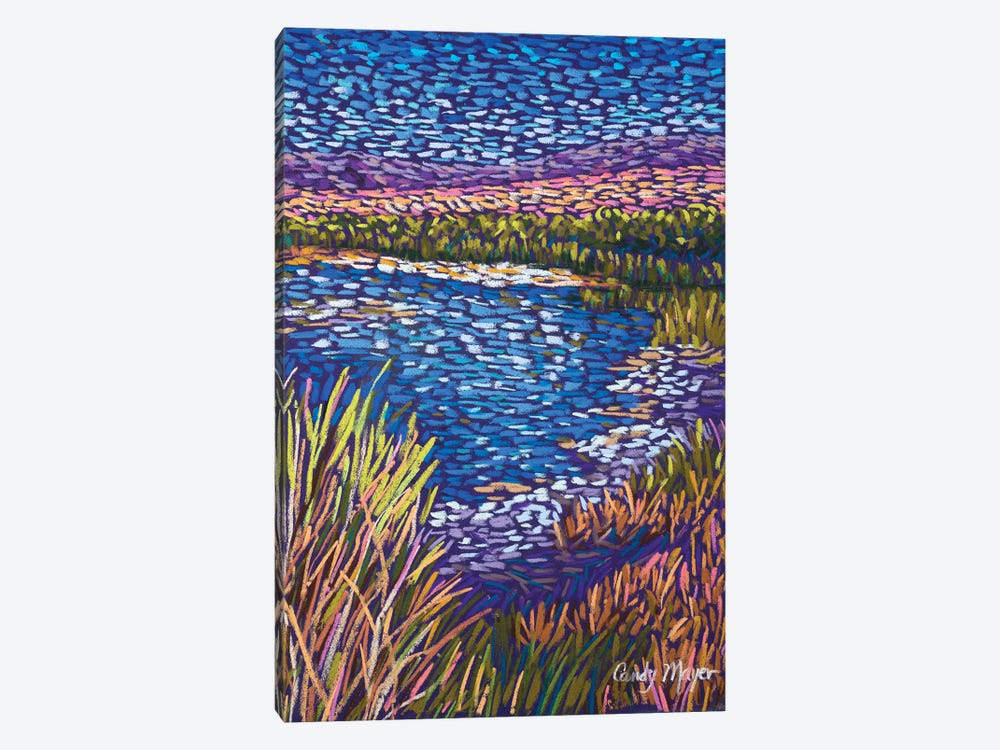 Southwest Wetlands by Candy Mayer 1-piece Canvas Print