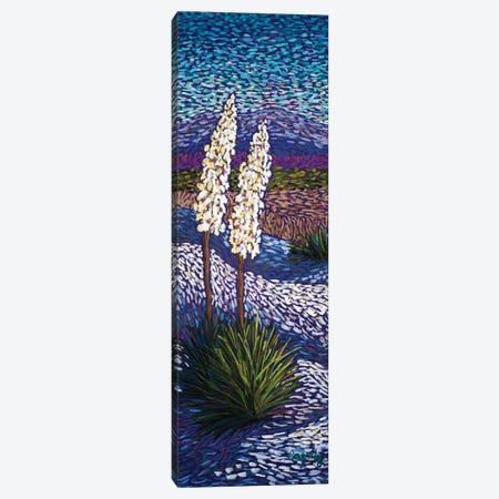 Yuccas At White Sands Canvas Print #CMY84} by Candy Mayer Canvas Artwork