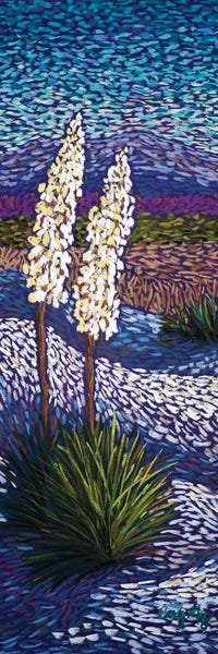 Desert: Yuccas At White Sands by Candy Mayer