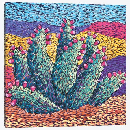 Bright cactus in Pastel Canvas Print #CMY87} by Candy Mayer Canvas Art