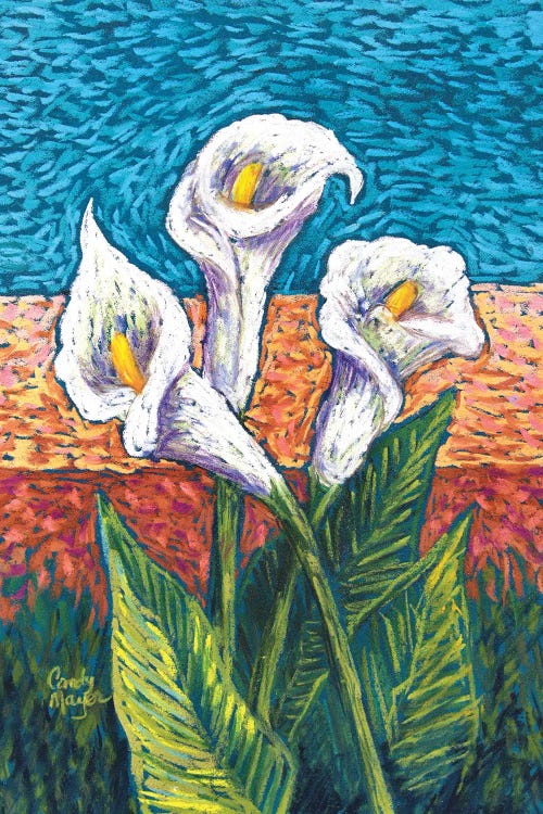 Calla Lilies in Pastel