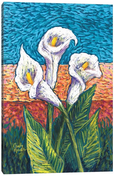 Calla Lilies in Pastel Canvas Art Print - Candy Mayer