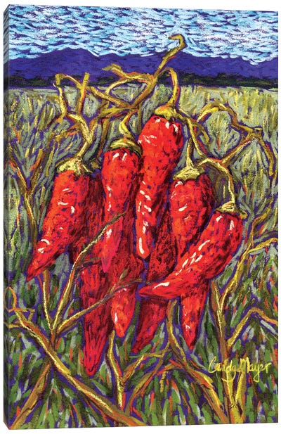 Chiles in Pastel Canvas Art Print - Vegetable Art