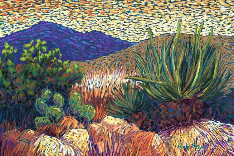 Desert Cactus by Candy Mayer wall art