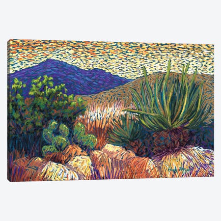 Desert Cactus Canvas Print #CMY90} by Candy Mayer Canvas Art