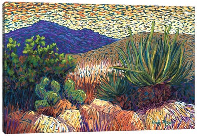 Desert Cactus Canvas Art Print - Southwest Décor