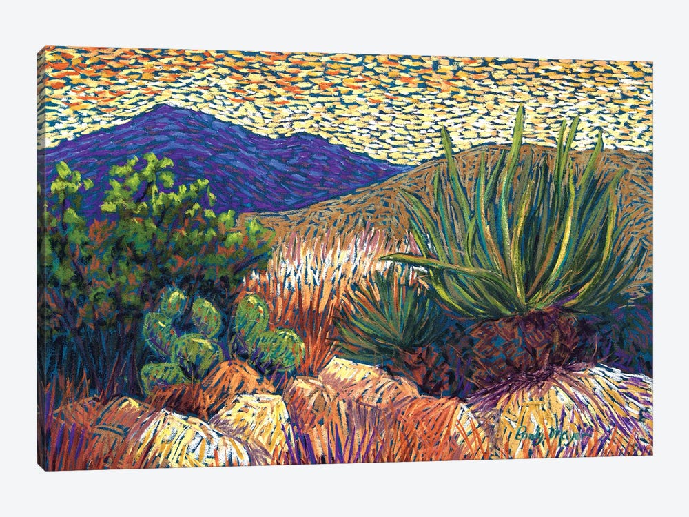 Desert Cactus by Candy Mayer 1-piece Canvas Artwork