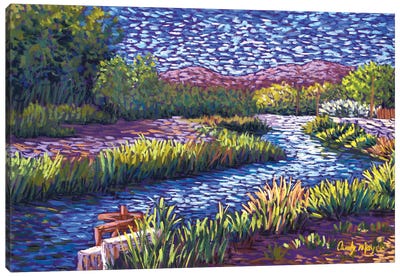 Valley Irrigation Canvas Art Print - Latin Décor