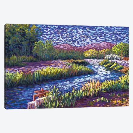 Valley Irrigation Canvas Print #CMY91} by Candy Mayer Canvas Art