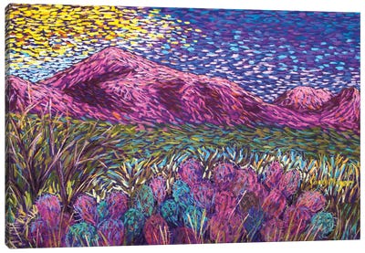 Pink Mountains Canvas Art Print - Candy Mayer