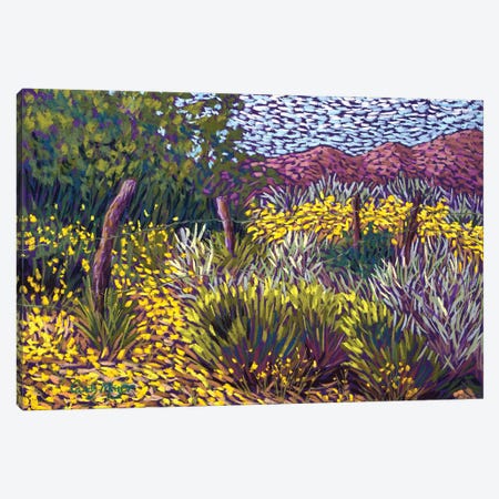 Yellow Fields Canvas Print #CMY95} by Candy Mayer Art Print