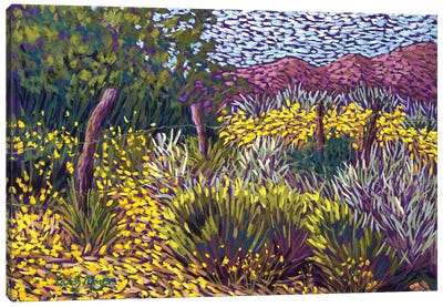 Yellow Fields Canvas Art Print - Candy Mayer