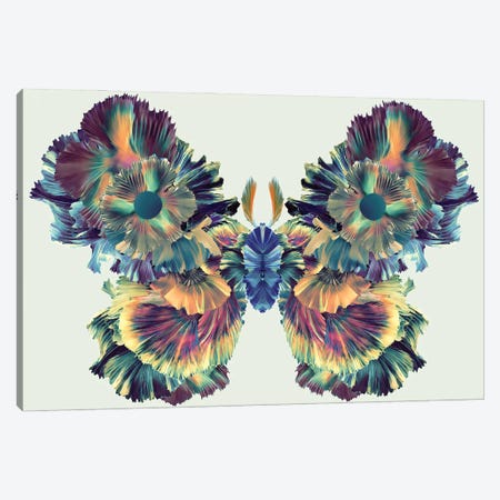 Moth Of Expression Canvas Print #CMZ7} by Charlie Moon Canvas Wall Art