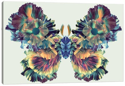 Moth Of Expression Canvas Art Print