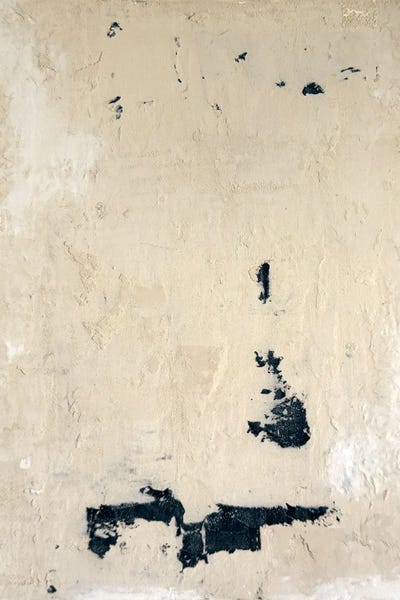 106 by Chantal Custeau canvas print