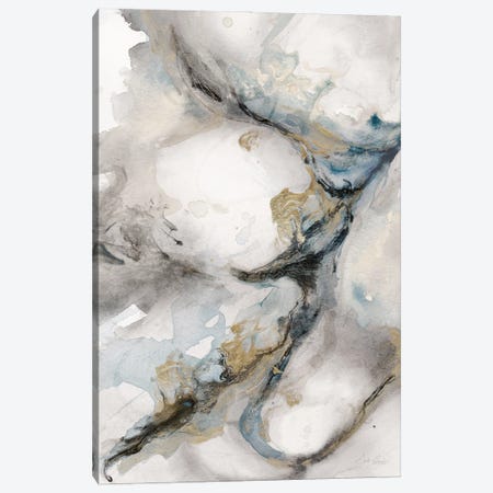 Meandering Canvas Print #CNG16} by Stella Chang Art Print